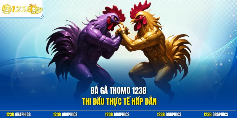 Đá gà Thomo 123B thi đấu thực tế hấp dẫn