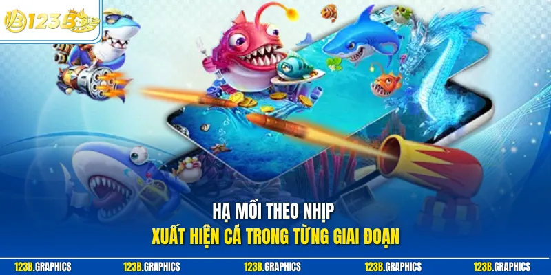 Hạ mồi theo nhịp xuất hiện cá trong từng giai đoạn