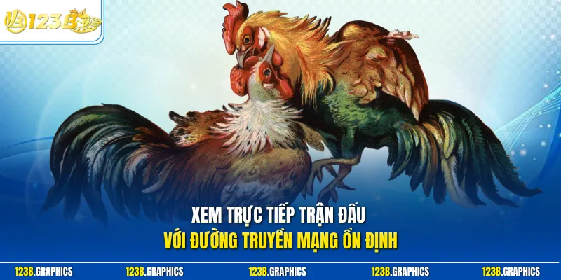 Xem trực tiếp trận đấu với đường truyền mạng ổn định